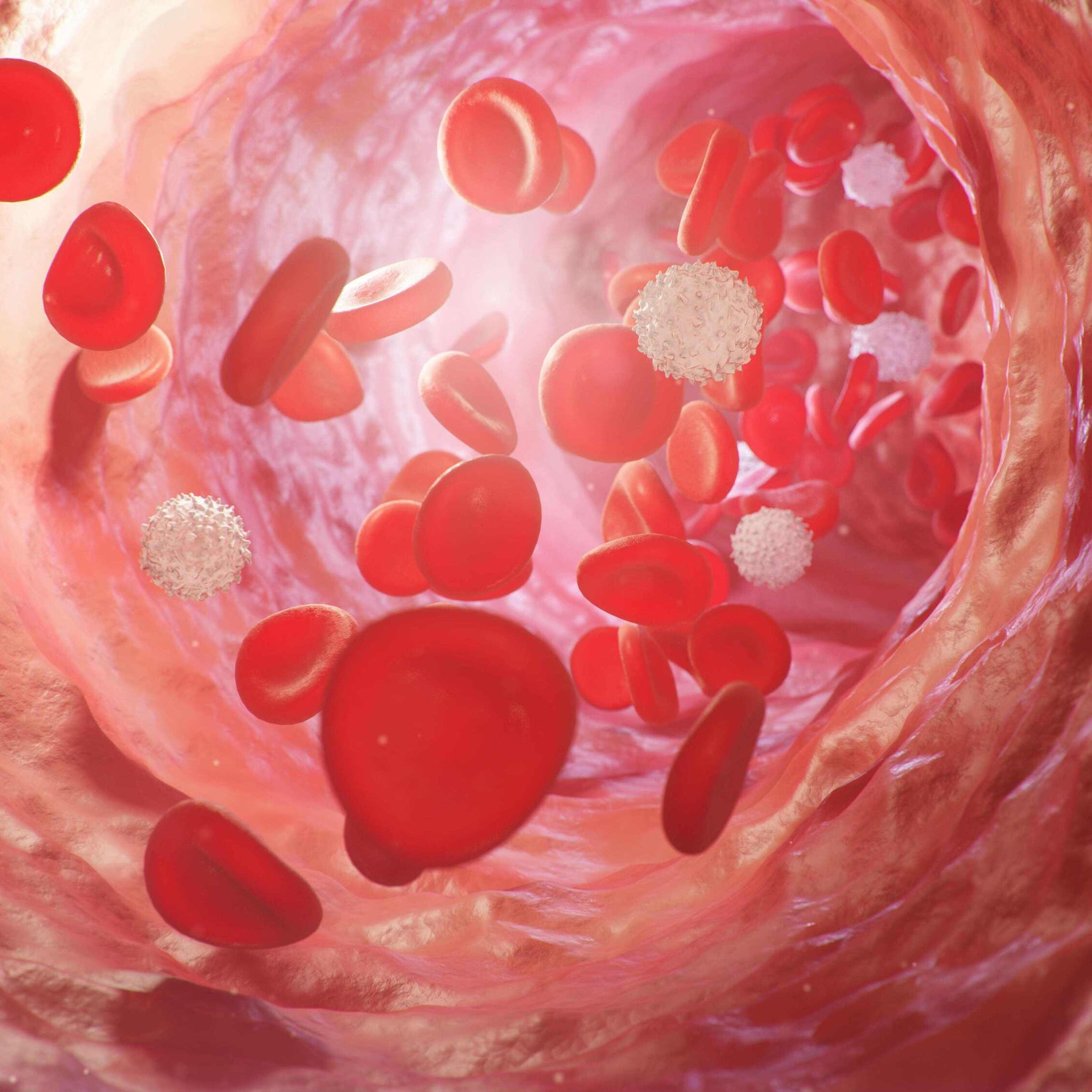 Blood Flow Before and After Grounding: A Scientific Look at the Body’s Natural Revival