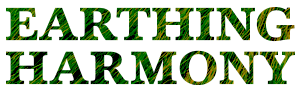 Close-up view of tall green grass.