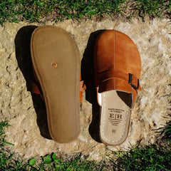 Explore the Collection
