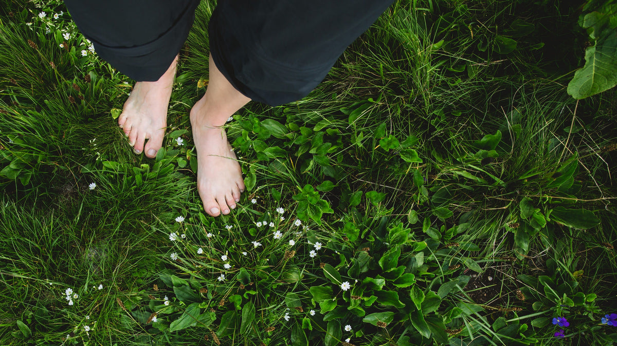 Bare feet standing on grass