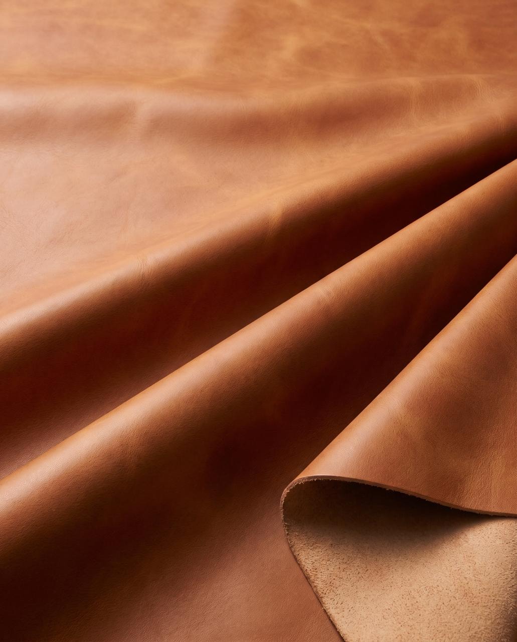 Top-grain leather hides